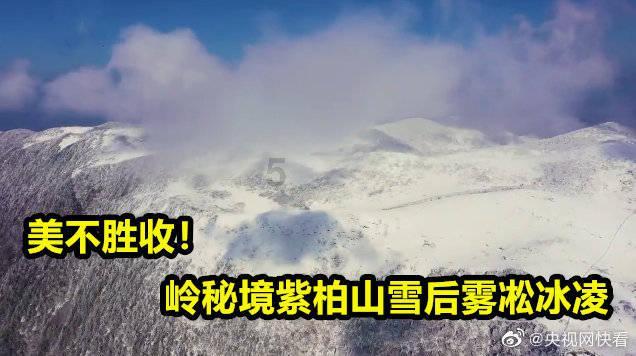 黑龙江省专科汉语言专科一共考几科啊游戏画面