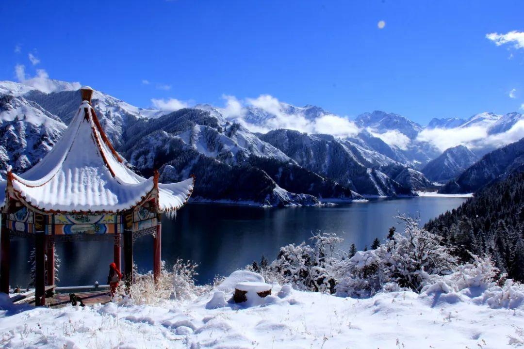 高血压能治愈的说法,是真的吗?-专业蜗牛问答平台